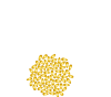 LIN-LOV