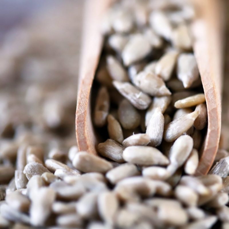 Raw peeled sunflower seeds. Selective focus. Macro.